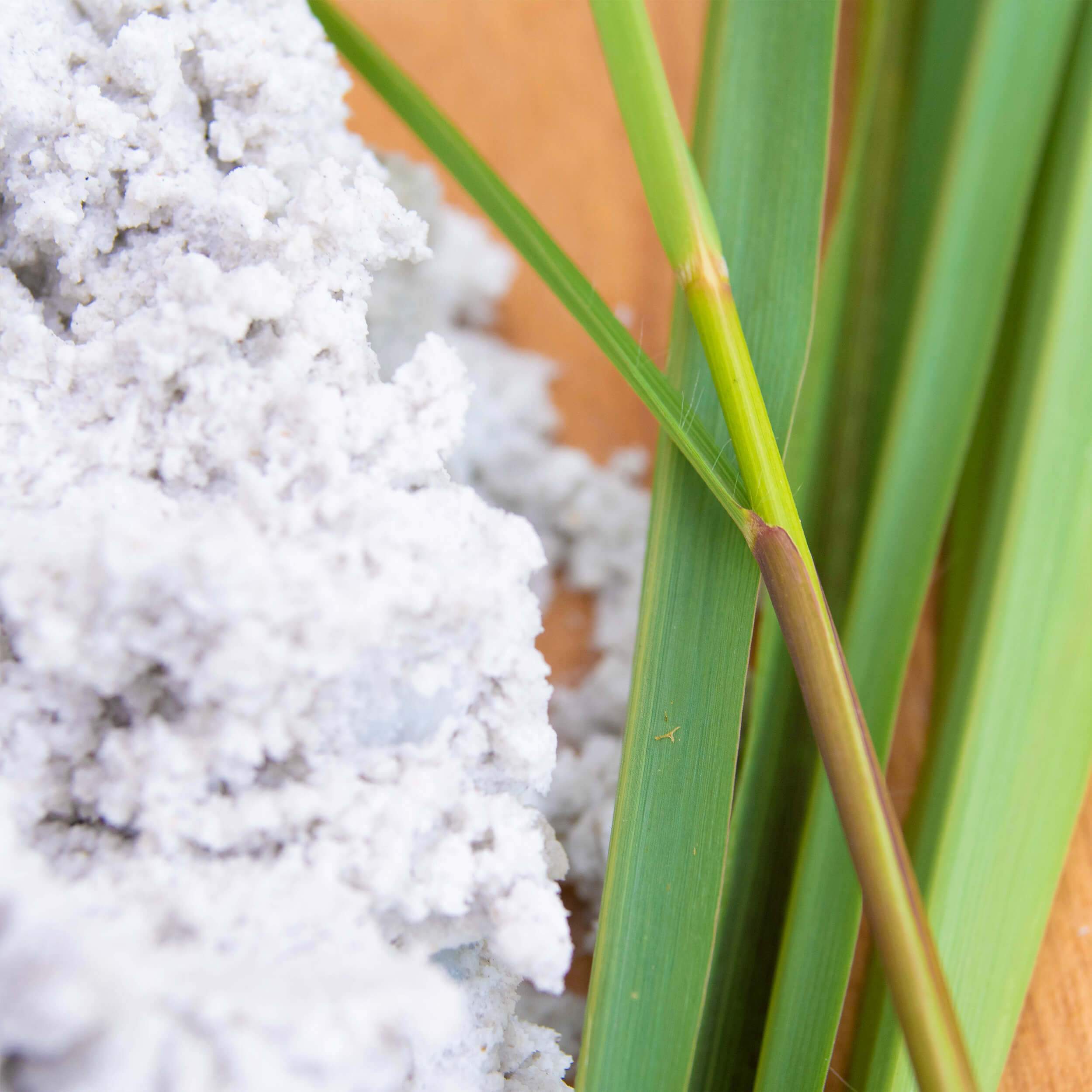 Shot of ingredients in Lemongrass Peppermint Whipped Soap + Scrub